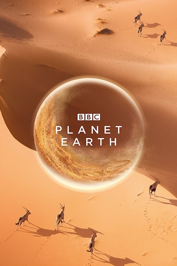 bbc-planet-earth-iii-2023-holidays-by-month-pelajaran